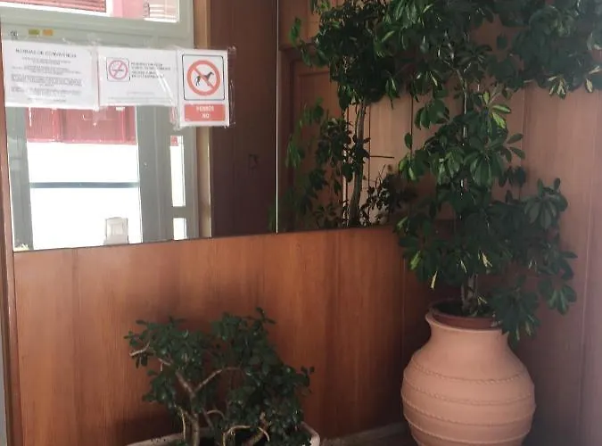 Apartamento Edificio Mirasierra Oropesa del Mar